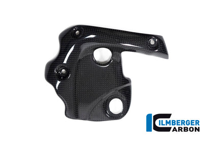 Exhaustprotection on the manifold Diavel 1260