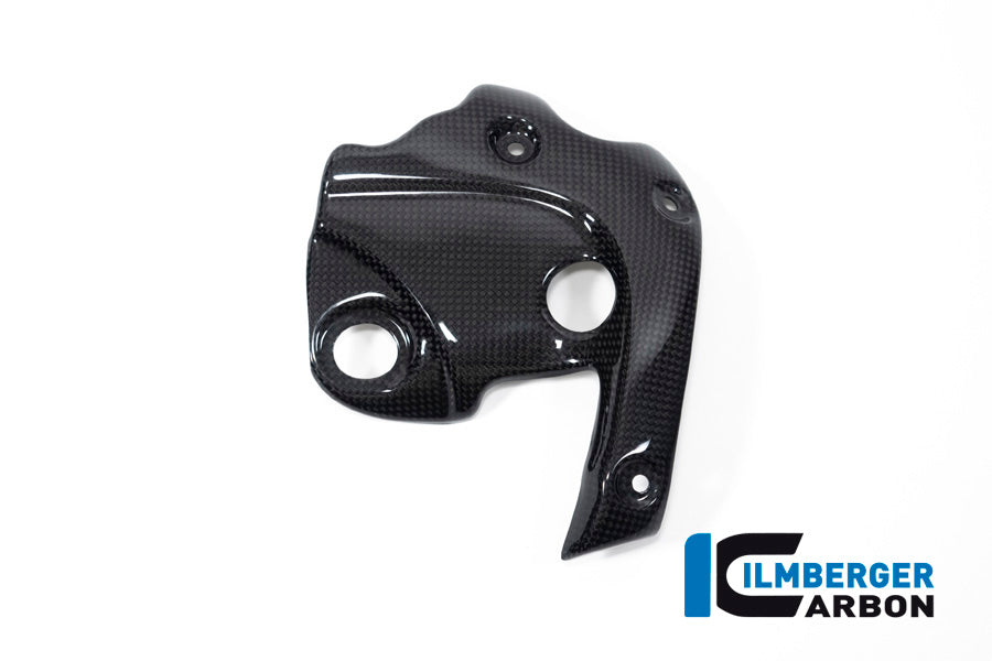 Exhaustprotection on the manifold Diavel 1260
