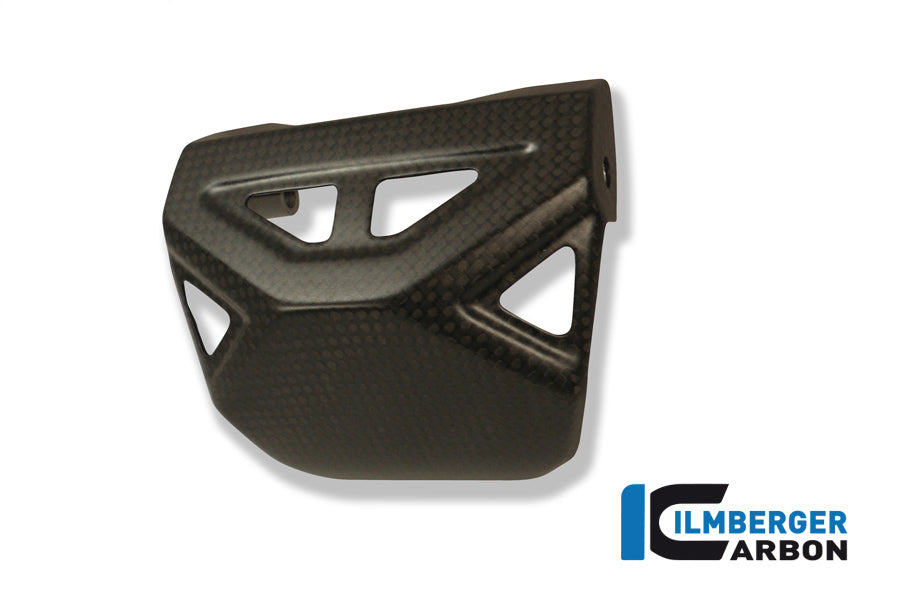 Exhaust heat shield at the exhaust valve Carbon
