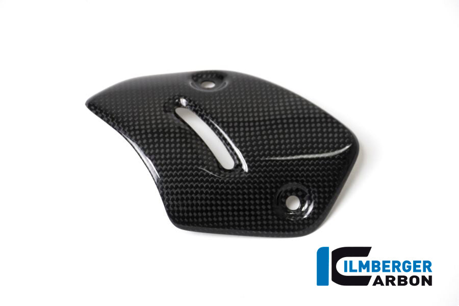 Protector on the silencer Ducati XDiavel'16