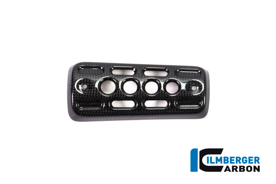 Silencer Protector Carbon -  BMW R nineT Urban GS