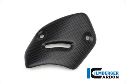 Protector on the silencer Ducati XDiavel'16