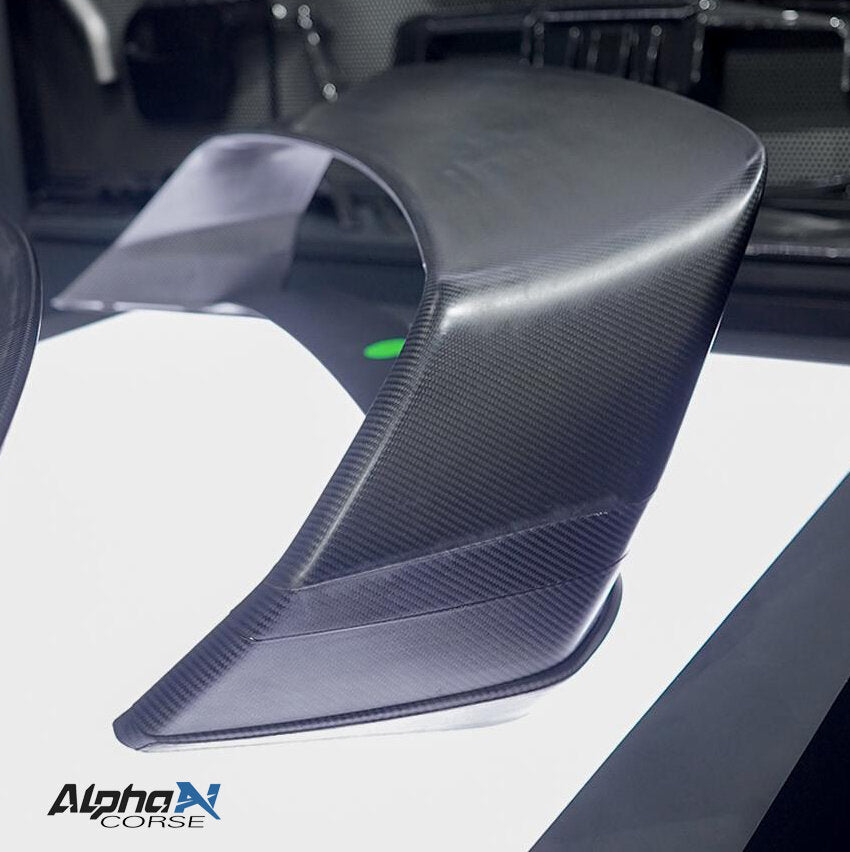 ALPHA-N Carbon "TRACK" Rear Wing Class 3