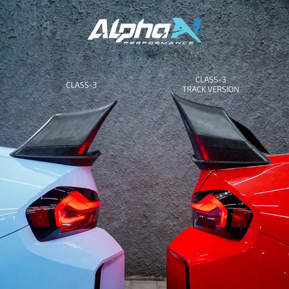 ALPHA-N Carbon "TRACK" Rear Wing Class 3