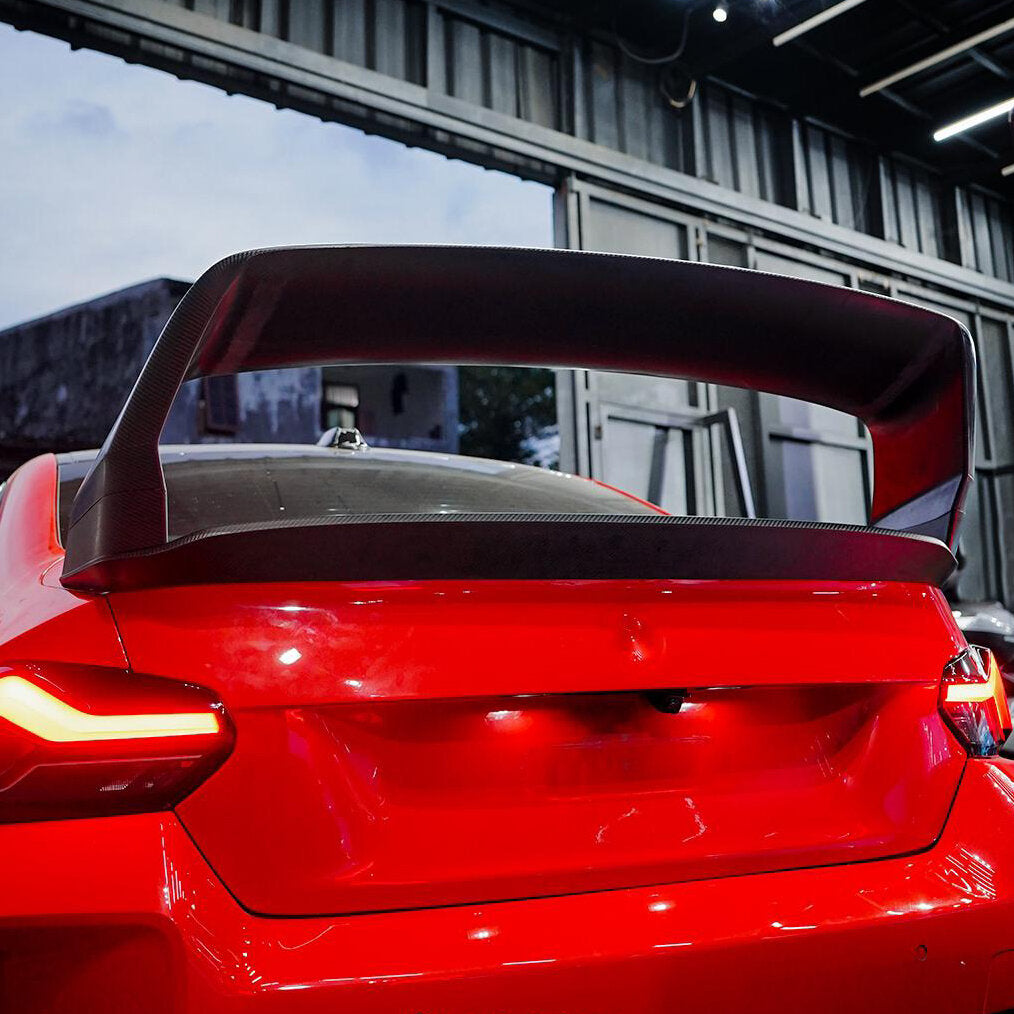 ALPHA-N Carbon "TRACK" Rear Wing Class 3