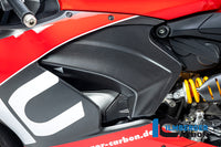Cover under the frame left matt Panigale V2