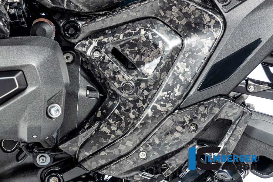 Triangular Frame Cover Left BMW R 1300 GS from 2023