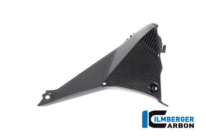 Cover near the Instrument left Side BMW R 1250 RS´19