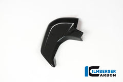 Cover near the instrument left side surface Ducati MTS'15