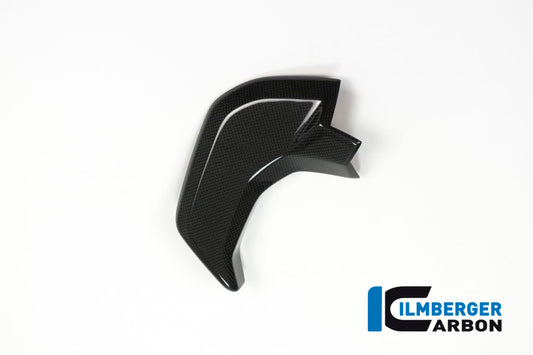 Cover near the instrument left side gloss surface Ducati MTS'15