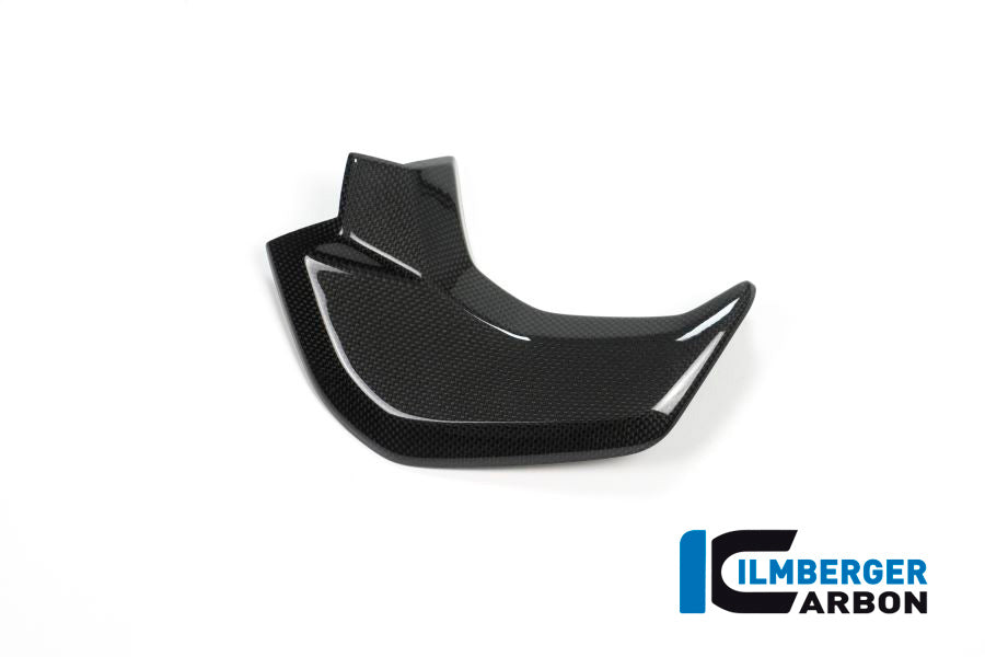 Cover near the instrument left side surface Ducati MTS'15