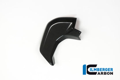 Cover near the instrument left side surface Ducati MTS'15