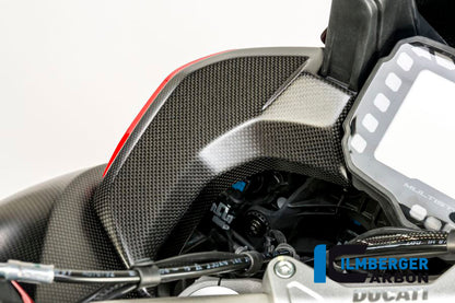 Cover near the instrument left side surface Ducati MTS'15