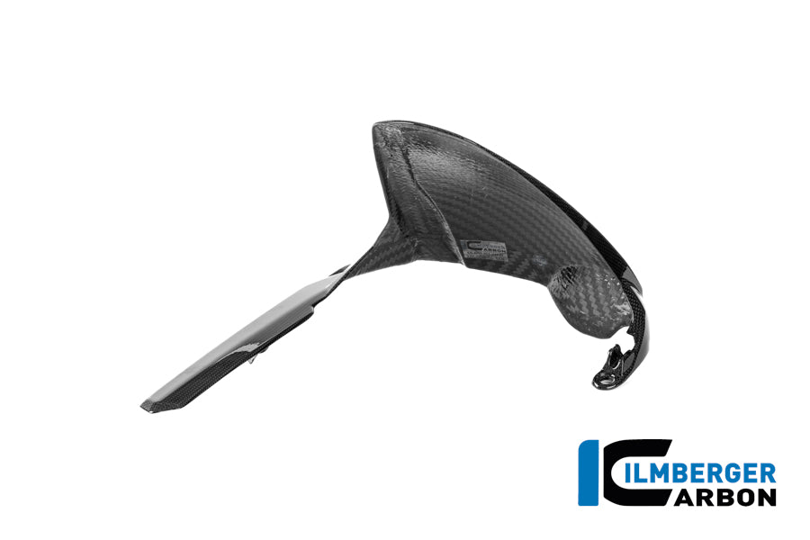 Rear Fender Panigale V4 2025