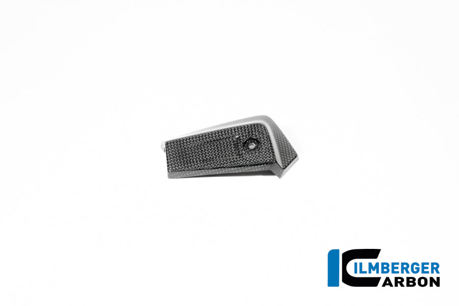 Oil cooler cover left carbon glossy BMW R12 NineT 2024