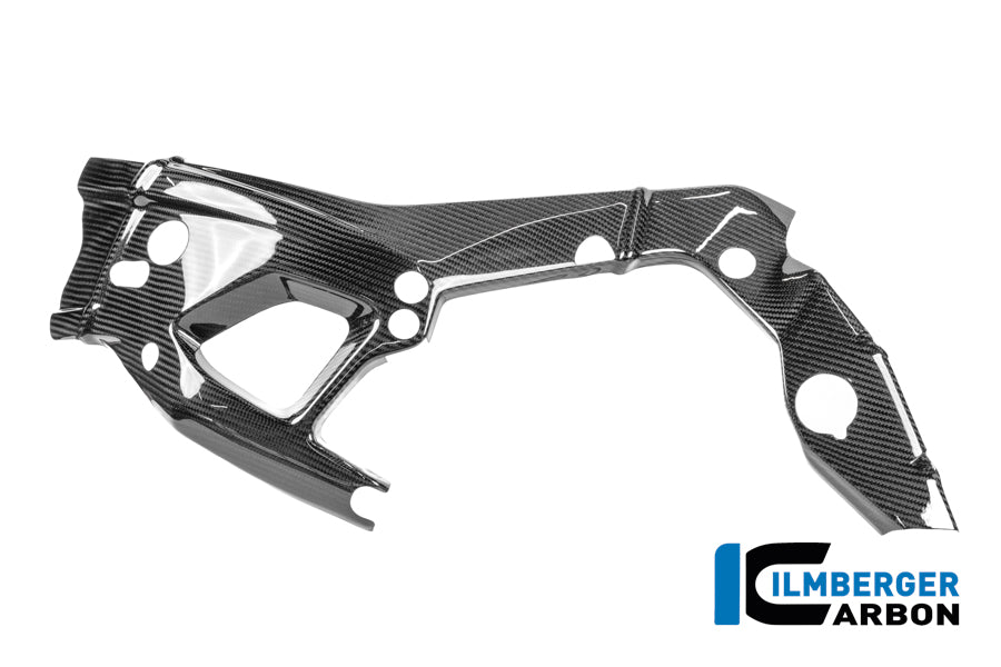 Frame Protector Left M 1000 RR Street (from 2025)