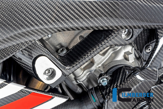 Frame Cover big left BMW S 1000 RR MY from 2019