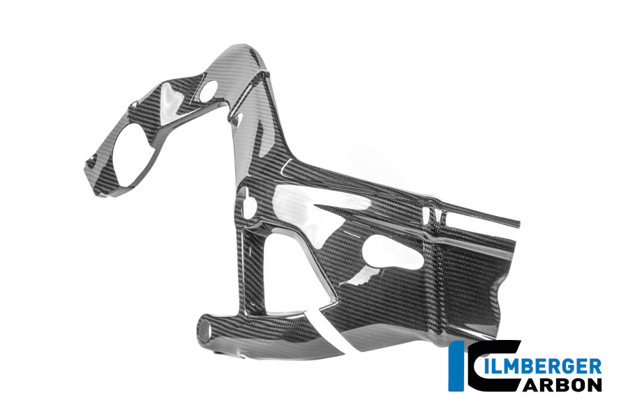 Frame Protector Right M 1000 RR Street (from 2025)