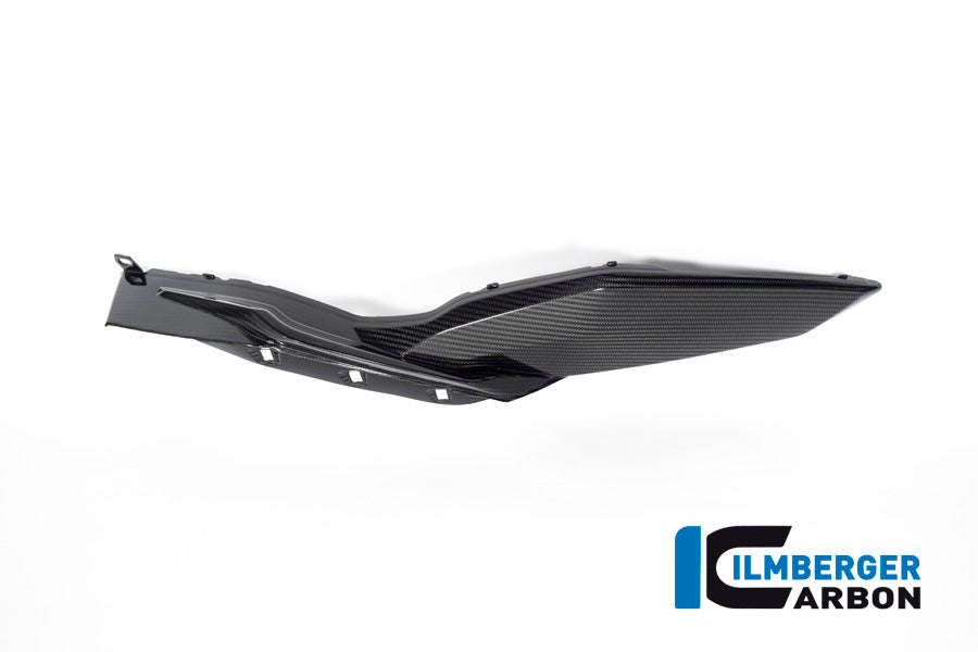 Side cover left (lower) on the Tank BMW S 1000 XR from MY 2020