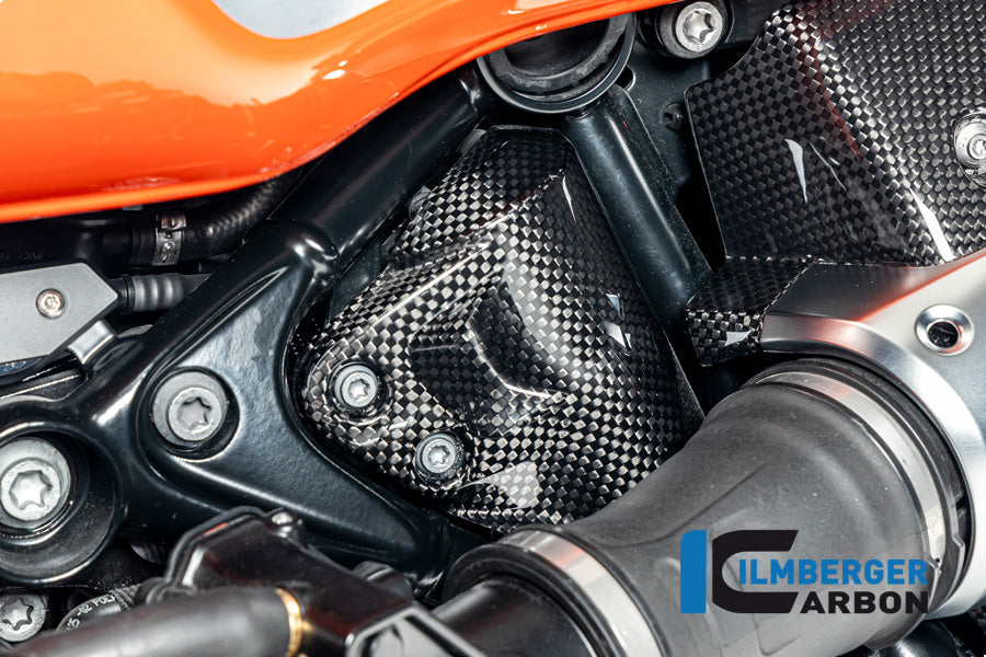 Tank breather cover carbon glossy BMW R12 NineT 2024