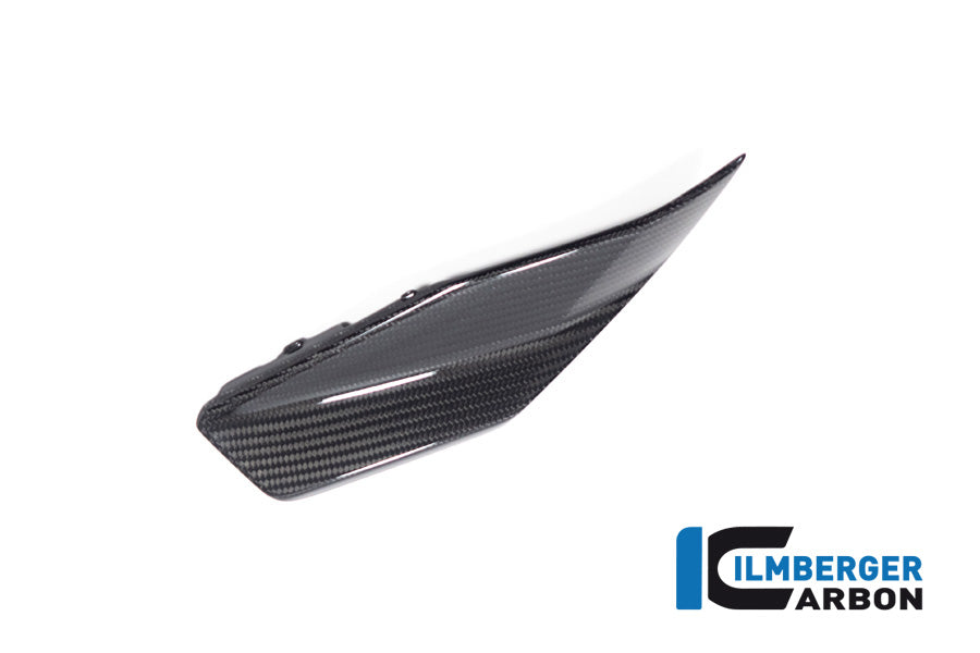 Lower tank cover left glossy BMW R 1300 GS from 20'23