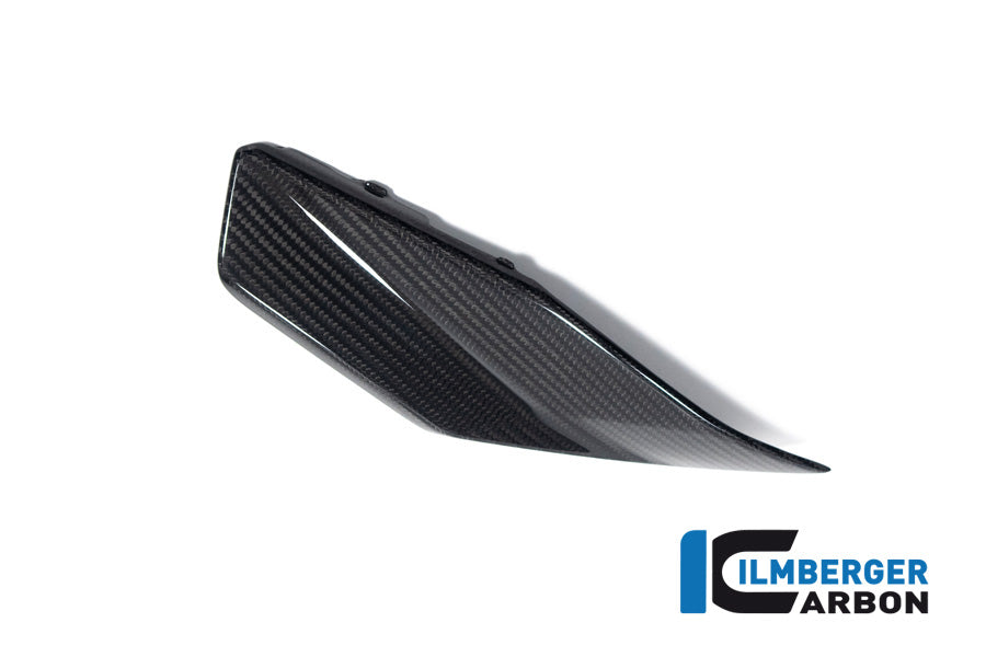 Lower tank cover left glossy BMW R 1300 GS from 20'23
