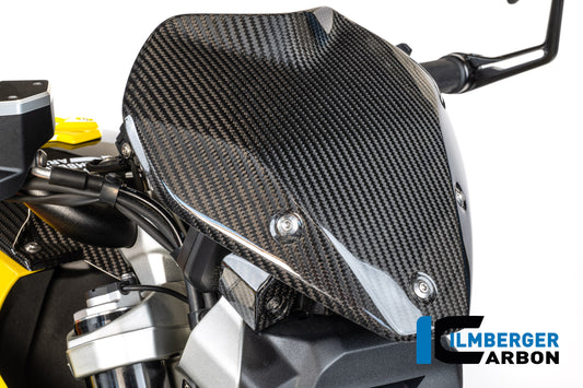 Windshield with Holder BMW R 1300 R