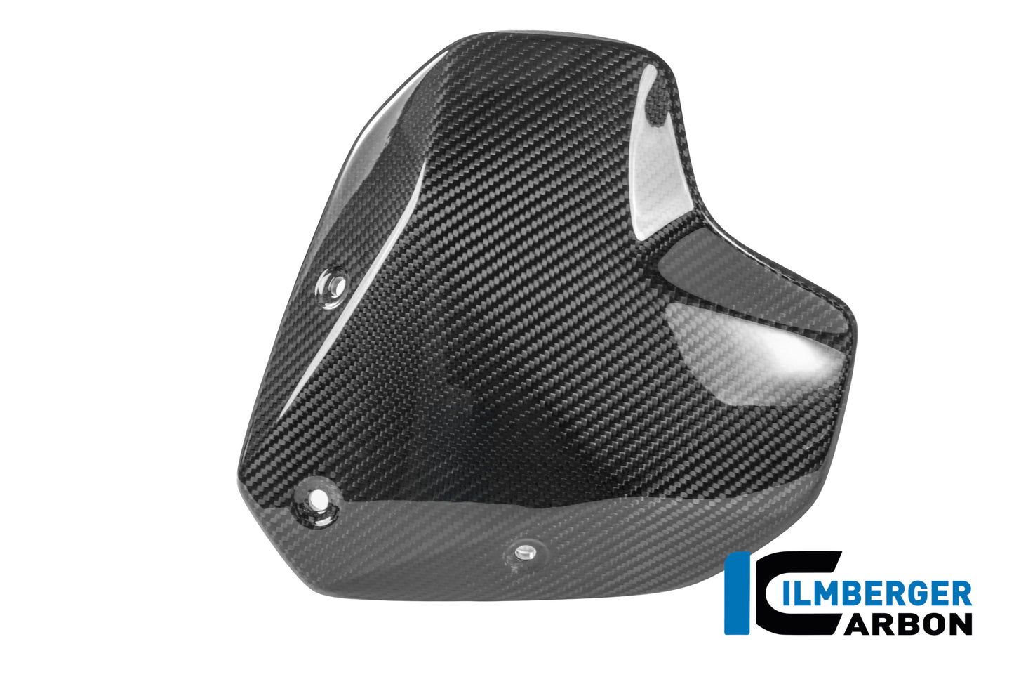 Windshield with Holder Carbon Glossy BMW R 1300 R
