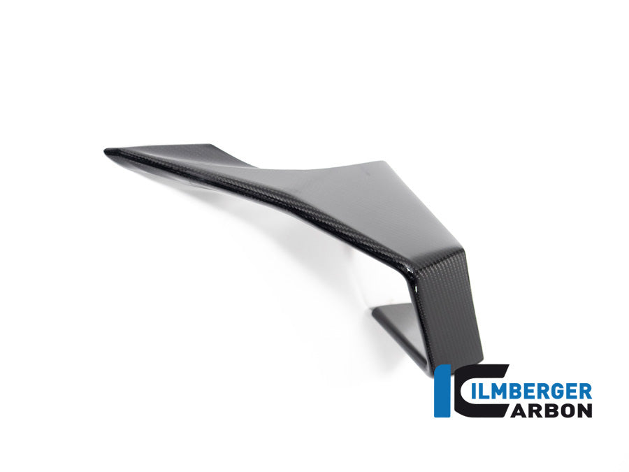 Winglet left side BMW M 1000 RR MY from 2023