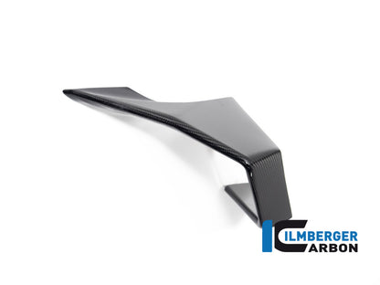 Winglet left side BMW M 1000 RR MY from 2023