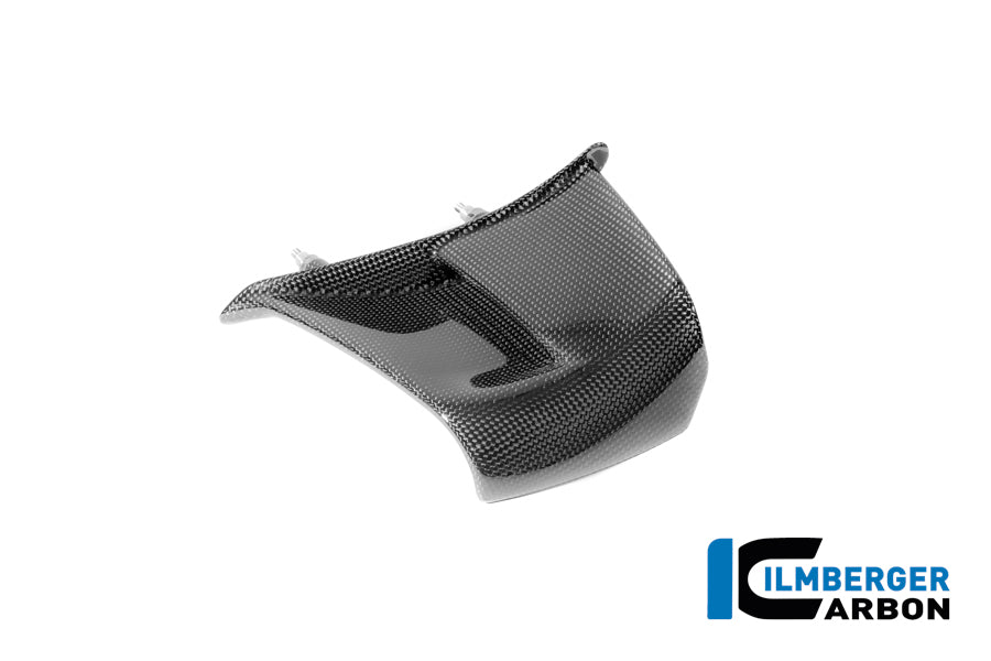 Left Winglet Carbon Gloss Panigale V4 2025