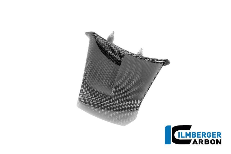 Left Winglet Carbon Gloss Panigale V4 2025
