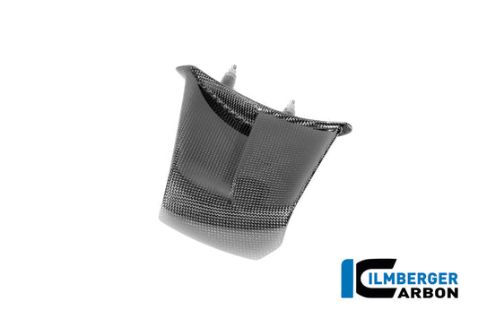 Left Winglet Carbon Gloss Panigale V4 2025