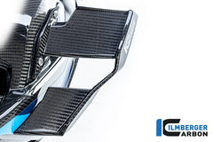 Winglet left BMW M1000R 2023