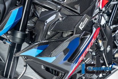Winglet left BMW M1000R 2023