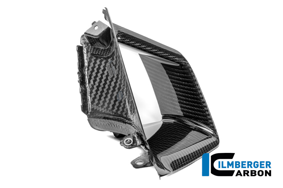Inner Wing Right Carbon Gloss S 1000 RR Street (from 2025)