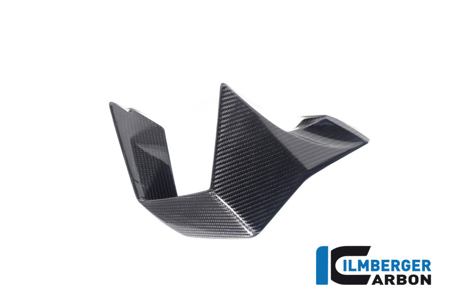 Winglet right side BMW M 1000 RR MY from 2023