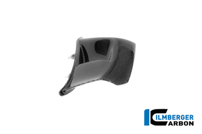 Right Winglet Gloss Carbon Panigale V4 2025