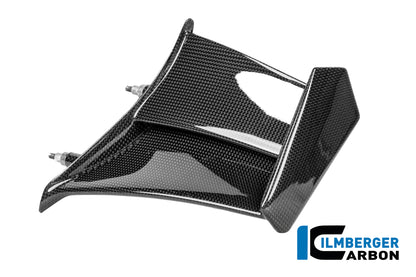 Left Winglet Carbon Gloss Panigale V4R 2025