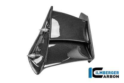 Left Winglet Carbon Gloss Panigale V4R 2025