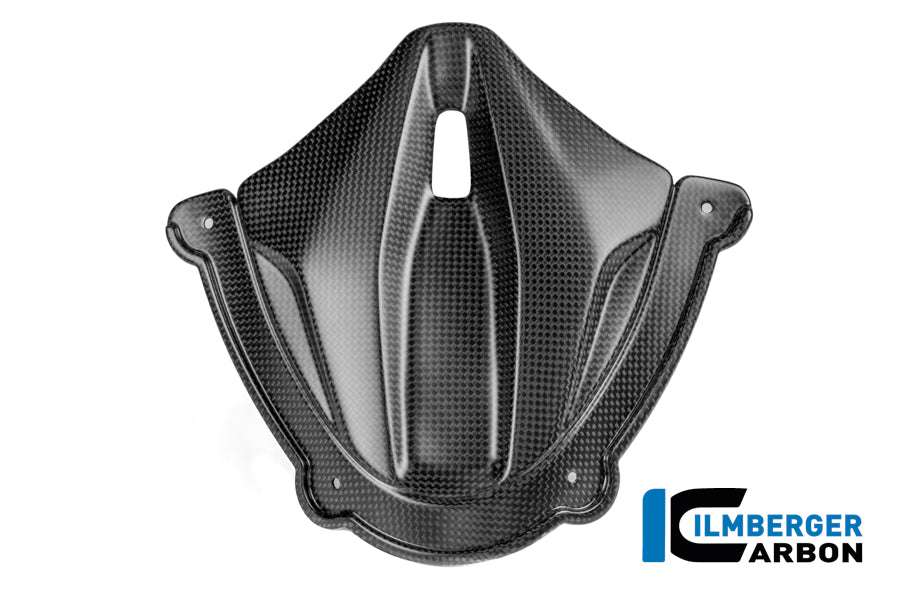 Instrument cover carbon matte Panigale V4 2025