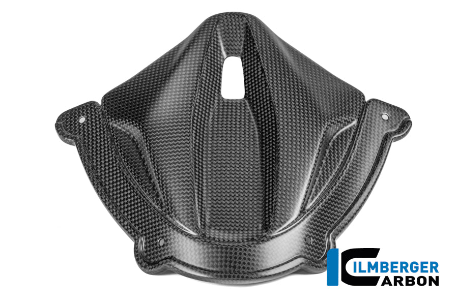 Instrument cover carbon matte Panigale V4 2025