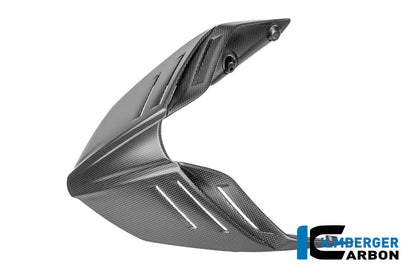 Single Seat Carbon Matte Panigale V4 2025