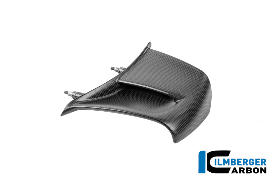 Left Winglet Carbon Matte Panigale V4 2025