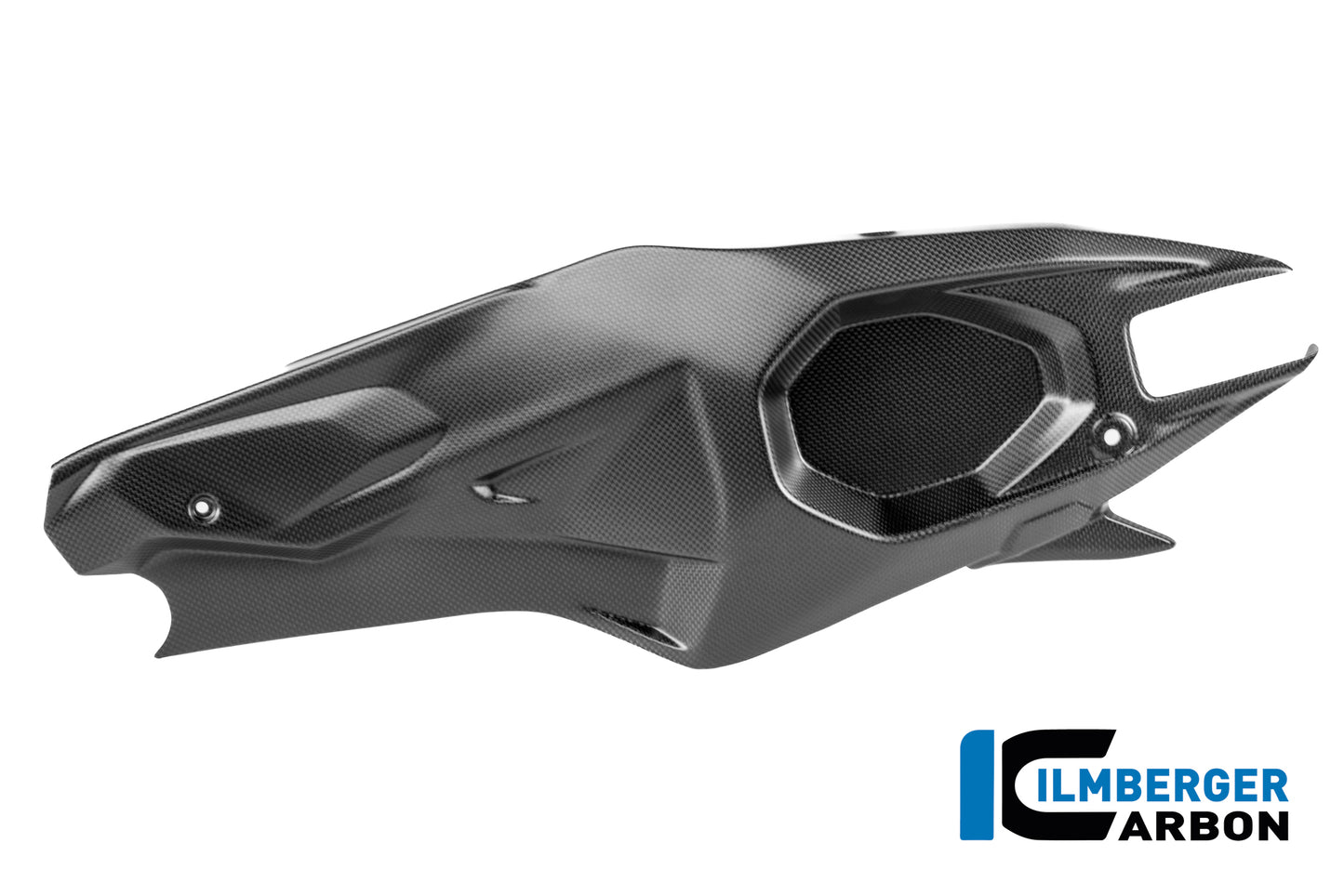 Swingarm cover left Ducati Panigale V4 R 2025