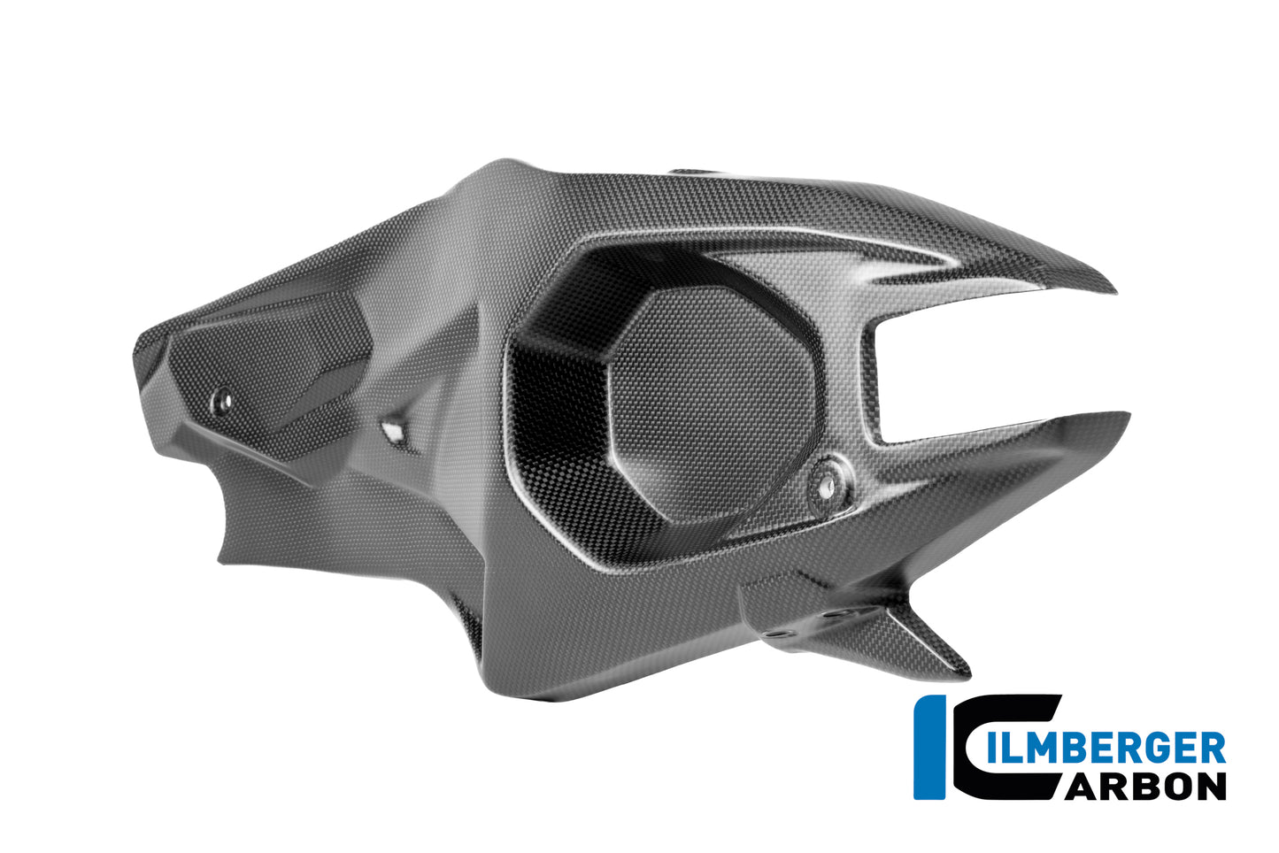 Swingarm cover left Ducati Panigale V4 R 2025