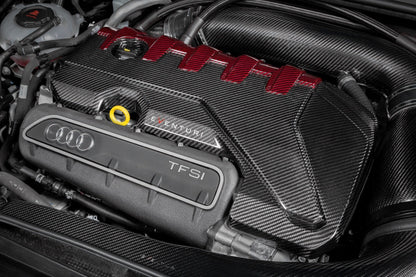 Audi RS3 Gen 2 / TTRS 8S Black and Red Engine Cover