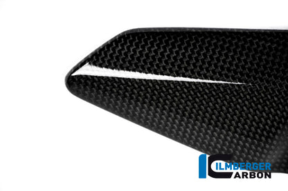 Right heel guard Ducati Monster 1200