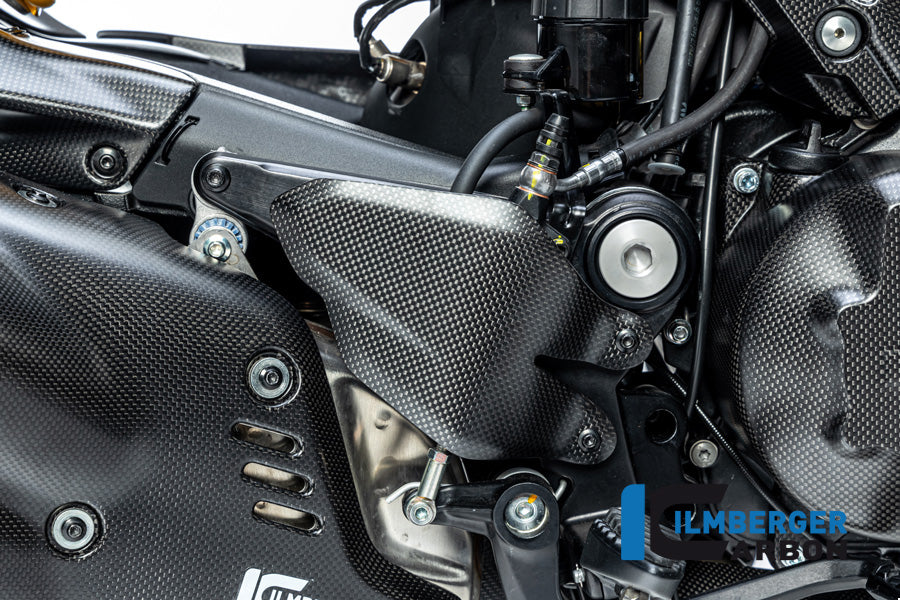 Healguard right Ducati Diavel V4 from 2023