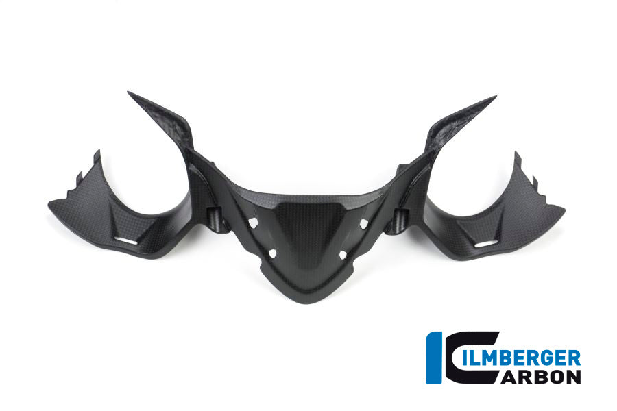 Instrument panel matt Carbon Ducati Panigale 1299 (from 2015)